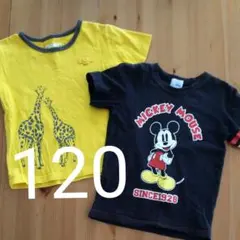 キッズ Tシャツ 2枚セット キリン/ミッキーマウス