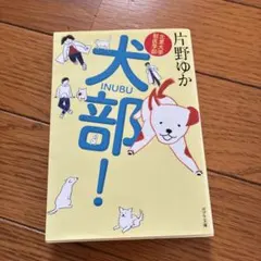 Item thumbnail for item cd39e050-5303-420c-b549-de74e2ddaca1