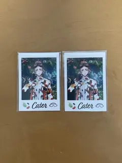 ツイステ展 ランダムカードコレクション ケイト