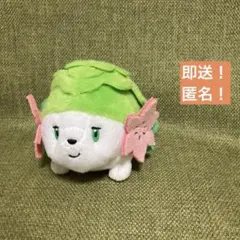 即送！【シェイミ】ポケモン　パペット　マスコット