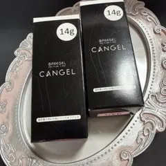 ち*ン様 PRE GEL CANGEL 14g GYE 2個セットのサムネイル