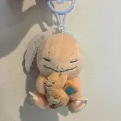 【新品タグ付き】Little day dream ヒトカゲとリザードン