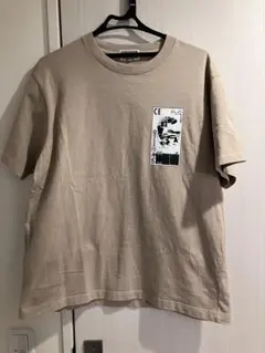 Item thumbnail for item d0527ce5-b8b9-4189-9e82-1df9b38a68c5