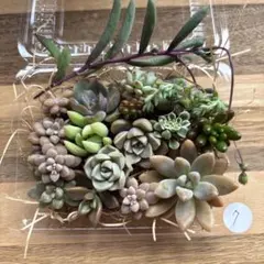 Mocokichi様 リクエスト 2点 まとめ商品