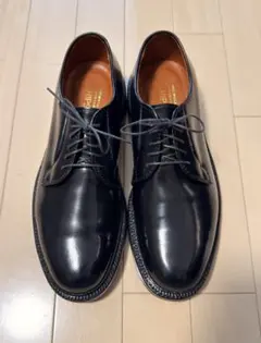 2026年最新】Alden 9901の人気アイテム - メルカリ
