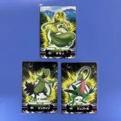 ［希少］ポケモンずかんカード　キモリ/ジュプトル/ジュカイン