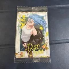 サカモトデイズ 赤尾リオン ミニフォトカード - メルカリ