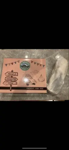 新品非売品限定　チャムスボアスリッパ　ミニチェアマウントレーニアchums椅子