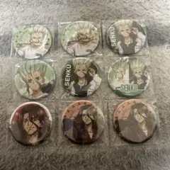 Dr.STONE 石神 千空 獅子王 司 缶バッジ おなまえぴたんコ ドクスト