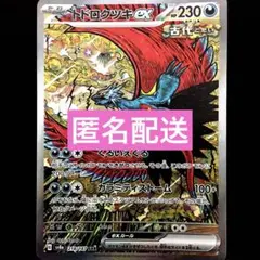 トドロクツキex SAR SV8a テラスタルフェスex 218/187