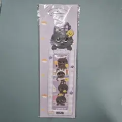 RIIZE　上海　ポップアップ　4Cut ホルダー　ウォンビン　トニャンドク