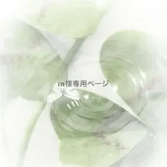専用ページ