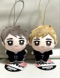 ハイキュー ぬいぷりけmini 2種セット