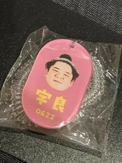 宇良　大相撲　ガチャ　ロッカーキー風キーホルダー