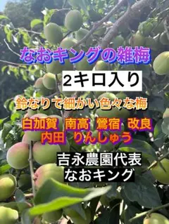 梅 正品 2キロ なおキングの梅 細かいのサムネイル