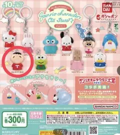 サンリオ めじるしアクセサリー みんなのたあ坊