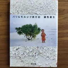 NO.135 バリ&モルジブ旅行記