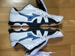 [美津濃] 乒乓球鞋 Wave Medal RISE 27.0 公分 2E