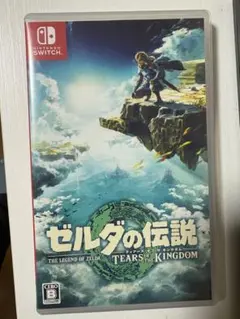 ゼルダの伝説 ティアーズ オブ ザ キングダム