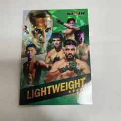ロス・インゴベルナブレス・デ・ハポン　初期メンバー直筆サイン入りポスター ロス・インゴベルナブレス・デ・ハポン 初期メンバー直筆サイン入り