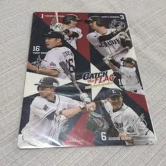 下敷き 藤浪晋太郎 阪神タイガース プロ野球 グッズ 文房具 日用品