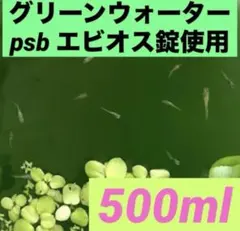 グリーンウォーター(psb 光合成細菌　ホテイアオイ　メダカ　水草　ゾウリムシのサムネイル