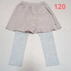 ★120★アプレレクール　スカッツ