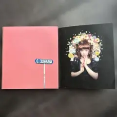 椎名林檎 アルバム『勝訴ストリップ』CDケース＆歌詞ブックレット（CD本体なし）