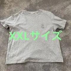 1回のみ使用ユニクロCECILIE BAHNSEN Tシャツ グレーのサムネイル
