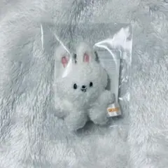 skzoo micro マイクロキーリング リービット