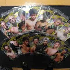 Item thumbnail for item f80c5f1d-c8c7-4ca9-8f95-565ce89a49f2