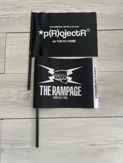 【美品】p(r)ojectr®︎　THE RAMPAGE　サイリウムフラッグ