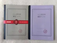 Item thumbnail for item 511a6f13-e239-489a-8de3-d461c25d1208