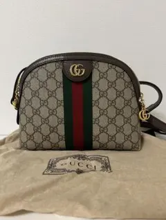 〔オフィディア〕GG ショルダーバッグ