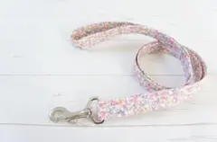 Item thumbnail for item 650b2ab7-84b8-4e33-bbe1-e4bdd5f151a9