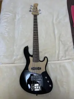 2025年最新】cort 5弦の人気アイテム - メルカリ