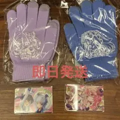 CHUNITHM 10周年記念キャンペーングッズ Aime & 手袋