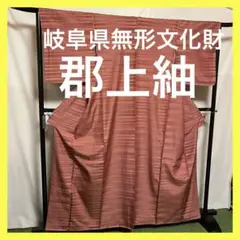 ⭐️早い者勝ち⭐️【国宝品】⭐️岐阜県重要無形文化財⭐️【郡上紬】⭐️手引真綿⭐️紬⭐️着物
