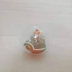 ポケモン テラリウムコレクション ルガルガン