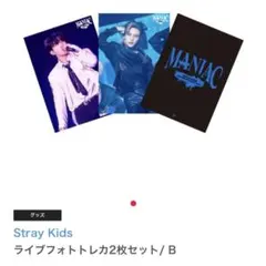 stray kids MANIAC フォトカード　ヒョンジン　チャンビン
