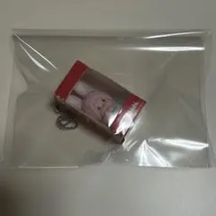 モンチッチ　チムたん　お座りパッケージフィギュア　キーホルダー