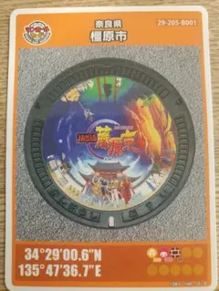マンホールカード 奈良県 橿原市 ストリートファイター