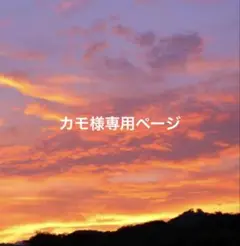 Switch ロックマン11 運命の歯車!!
