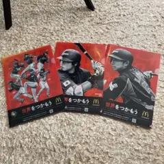 WBC2009 代表選手クリアファイル