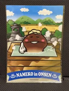 なめこ栽培キット クリアファイル 全国MAP 温泉　②