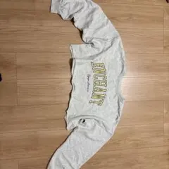 Item thumbnail for item e7aa2db1-14c0-4cee-a013-7200d0fea7bb