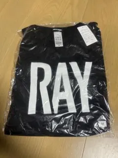 BUMP OF CHICKEN WILLPOLIS 2014年 RAY Tシャツ