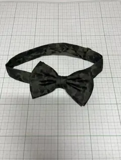 Item thumbnail for item 9e09a603-44e7-4867-9b32-8d31d96cf755