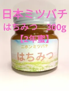 【希少！2年熟成蜜】日本ミツバチ　はちみつ　信州産　非加熱　300g