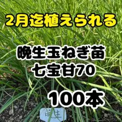 坂本自然農園様 リクエスト 3点 まとめ商品